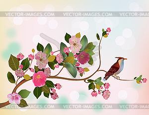 Sakura , spring , postcard . - vector clip art