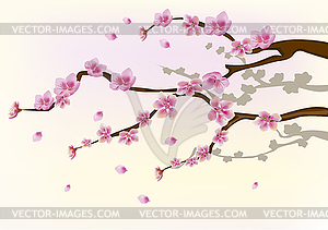 Sakura . postcard . menu - vector image