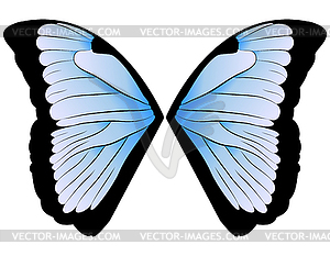 Butterfly Wings - vector clipart