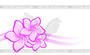 Background with beautiful purple flowers - vector clipart