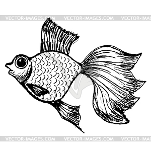 Goldfish - vector clipart