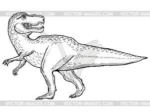 Tyrannosaurus - vector clipart