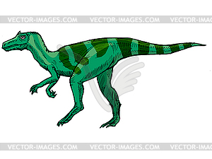 Allosaurus - vector image