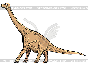 Brachiosaurus - vector image