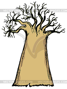 Baobab - vector clip art