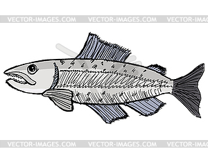 Salmon - stock vector clipart