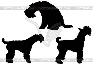 Posing Kerry - vector clipart