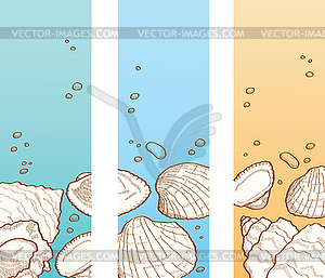 Seashell banner set - color vector clipart