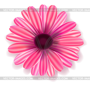 Purple flower - vector image