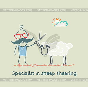 Specialist sheep shearing - vector clipart