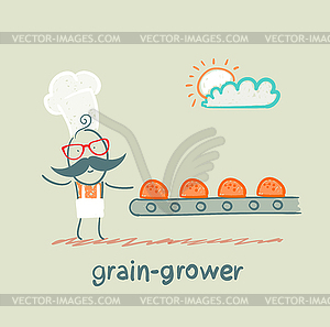 Grain grower looks at conveyor rolls - vector clipart
