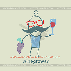 Winegrower holds bunch of grapes and looks at - vector clipart