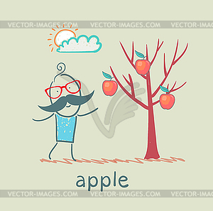 Man stands with tree on which apples - vector image