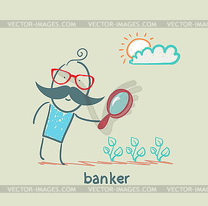 Banker is looking through magnifying glass on plants - vector image