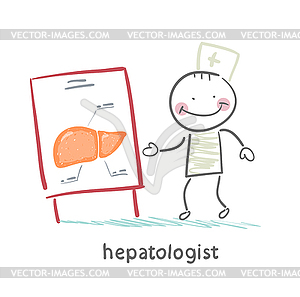 Hepatologist tells presentation on liver - vector image