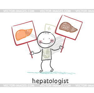 Hepatologist holding signs with healthy and disease - royalty-free vector image