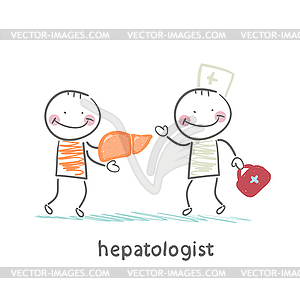 Hepatologist cured patient liver - vector clip art