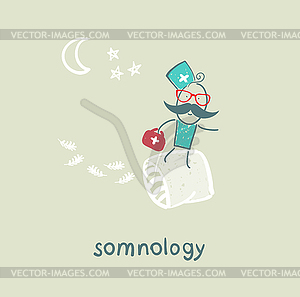 Somnology flies on pillows - vector clip art