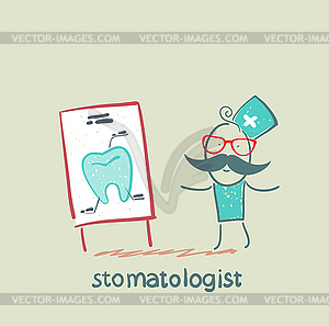 Stomatologist says presentation on tooth - vector clip art