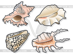 Ракушками - клипарт в векторе