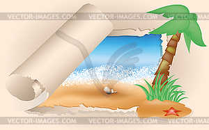 Summer card. Palms and shells, vector illustration - vector image