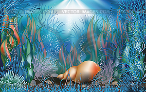 Underwater banners with cockleshells, vector - vector clipart