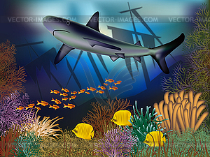 Underwater wallpaper with ship and shark,  vector  - vector clip art
