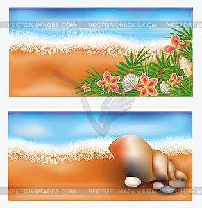 Summer tropic banners with flowers and seashell, vector - vector clip art