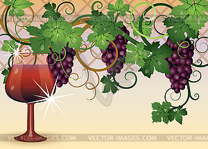 The glass of red wine and grapes, vector illustration - vector image