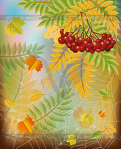 Autumn season card with spiderweb, vector illustration  - vector image