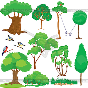 Set of trees, bushes and birds  - vector clipart / vector image