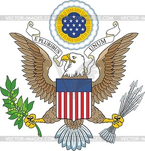 U.S. eagle - vector clipart