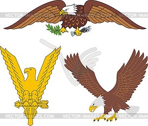 Set of American eagles - vector clipart