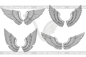 Set of wings - vector clipart