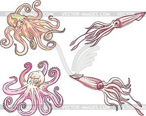 Squids and octopuses - vector clip art
