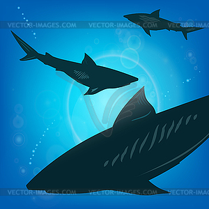 Sharks under water - vector clipart / vector image