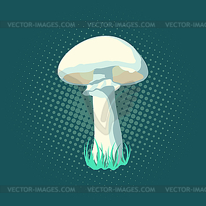 Mushroom - vector image