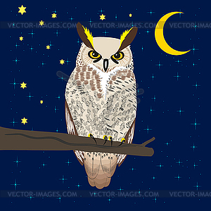 Owl sitting at woods under moon - royalty-free vector image