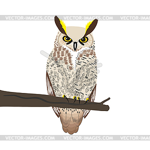 Owl sits on tree branch - vector clip art