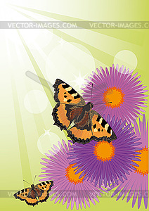 Summer background with flowers and butterflies - vector image