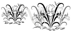 Background with iris - vector image
