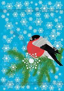 Winter background with bullfinch - vector image