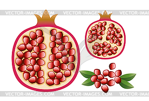 Pomegranate with grains and leaves - vector image