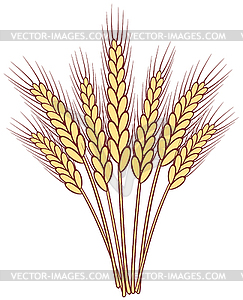 Bunch of wheat ears - vector clipart