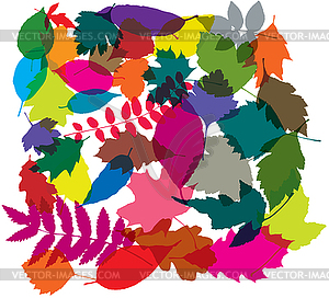 Colorful background of leaves - vector image