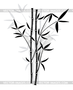 Bamboo - vector image
