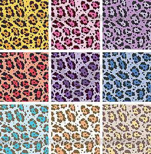 Colorful animal skin textures of leopard - vector image