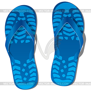 Pair of flip flops - vector clipart