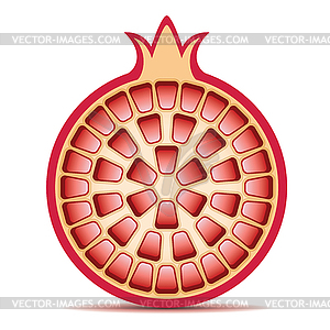 Pomegranate - vector clipart