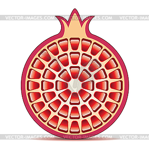 Pomegranate - vector image